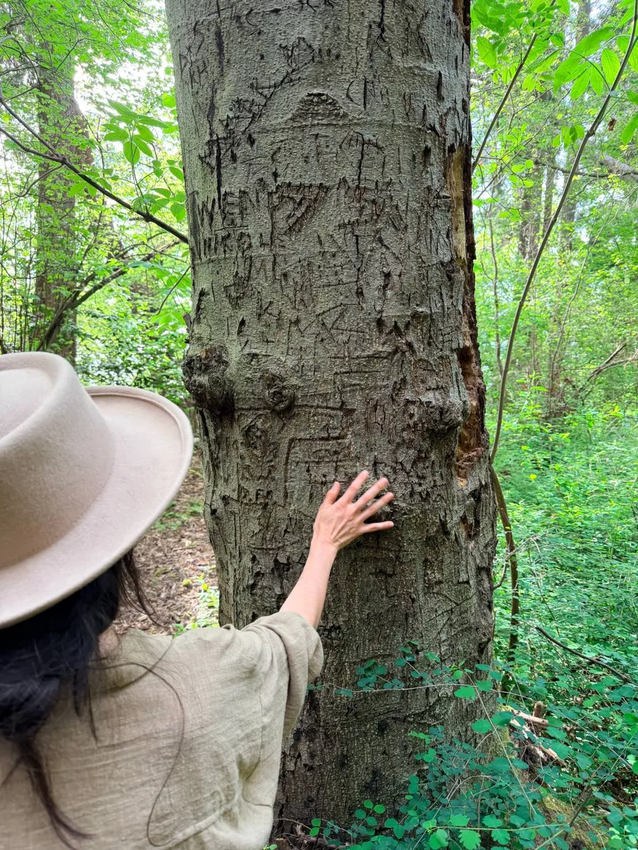 Jessie, seen from behind in a felt hat, resting her hand on a tree trunk carved with years of initials